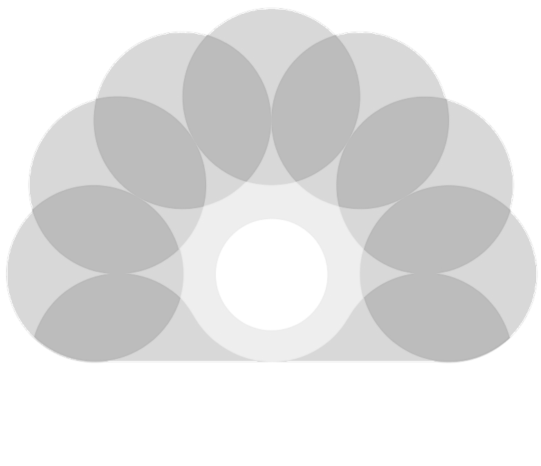 ROMPETROL MOLDOVA